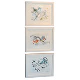 Original Monotypes by G. Wahl