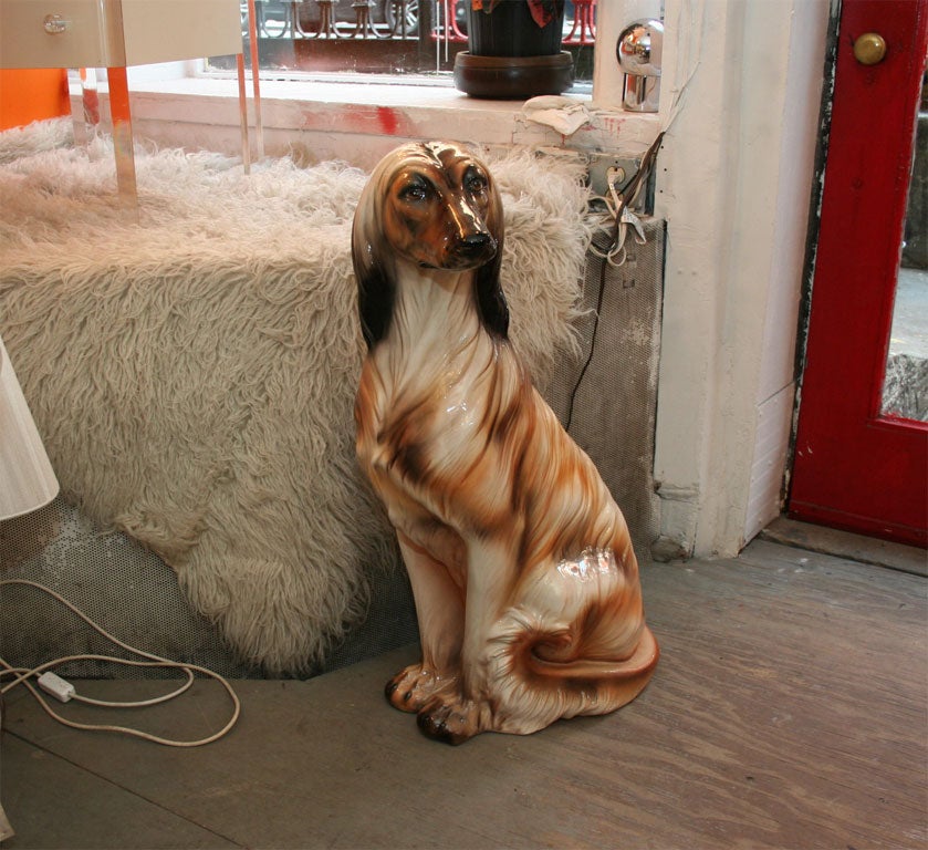 Athena is a very sweet three year old purebreed Afghan Hound.  She loves everyone, especially kids and would make a great addtion to any family. Athena is available for adoption.