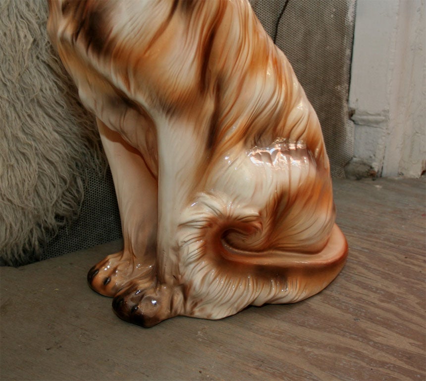 afghan setter