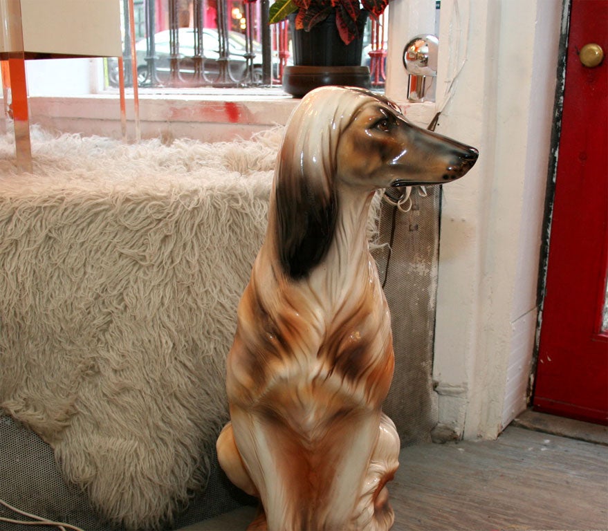 Late 20th Century Afghan Hound