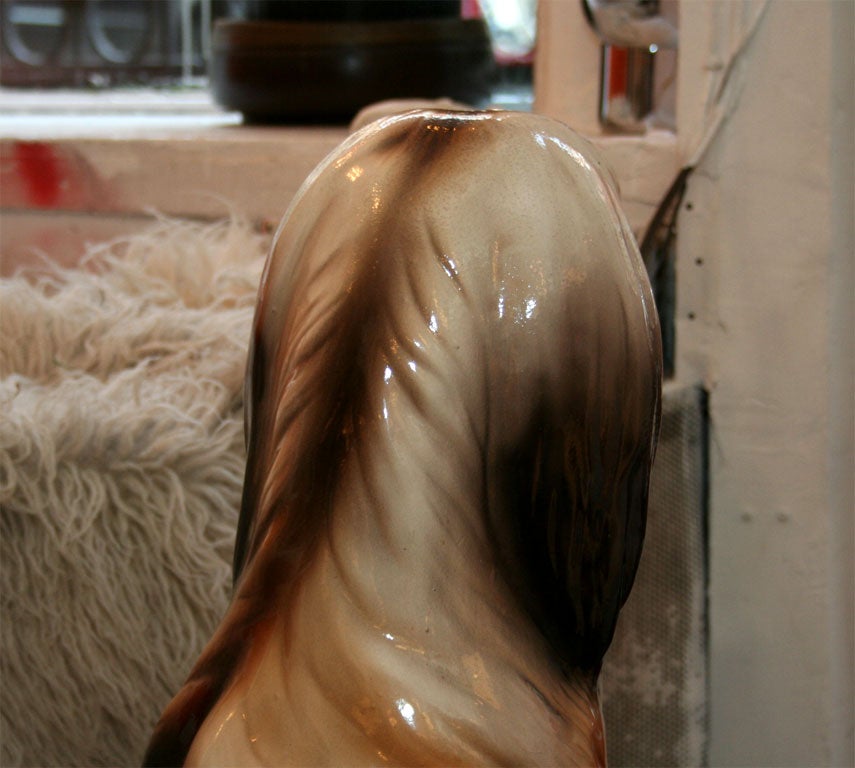 Afghan Hound 4