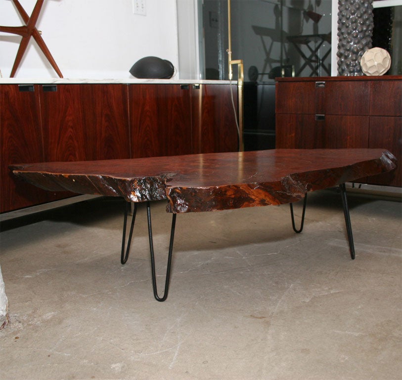 Solid walnut free form coffee table with iron legs