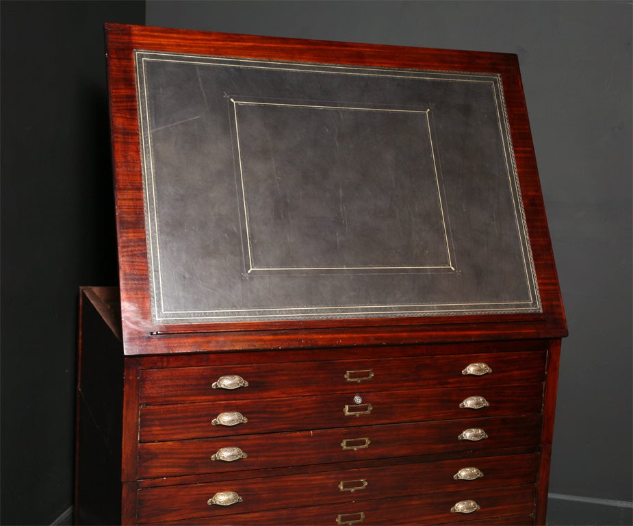 20th Century map chest