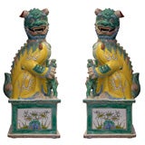 Pair of Chinese Foo Dogs