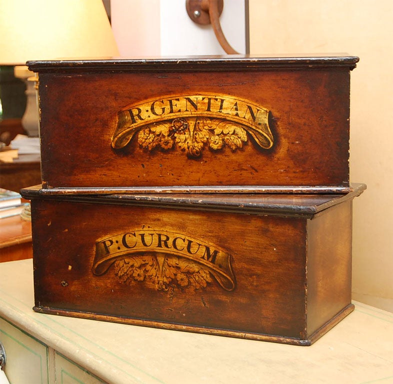 A very unique pair of 19th Century Chemist Boxes from an English pharmacy with original faux painting: 