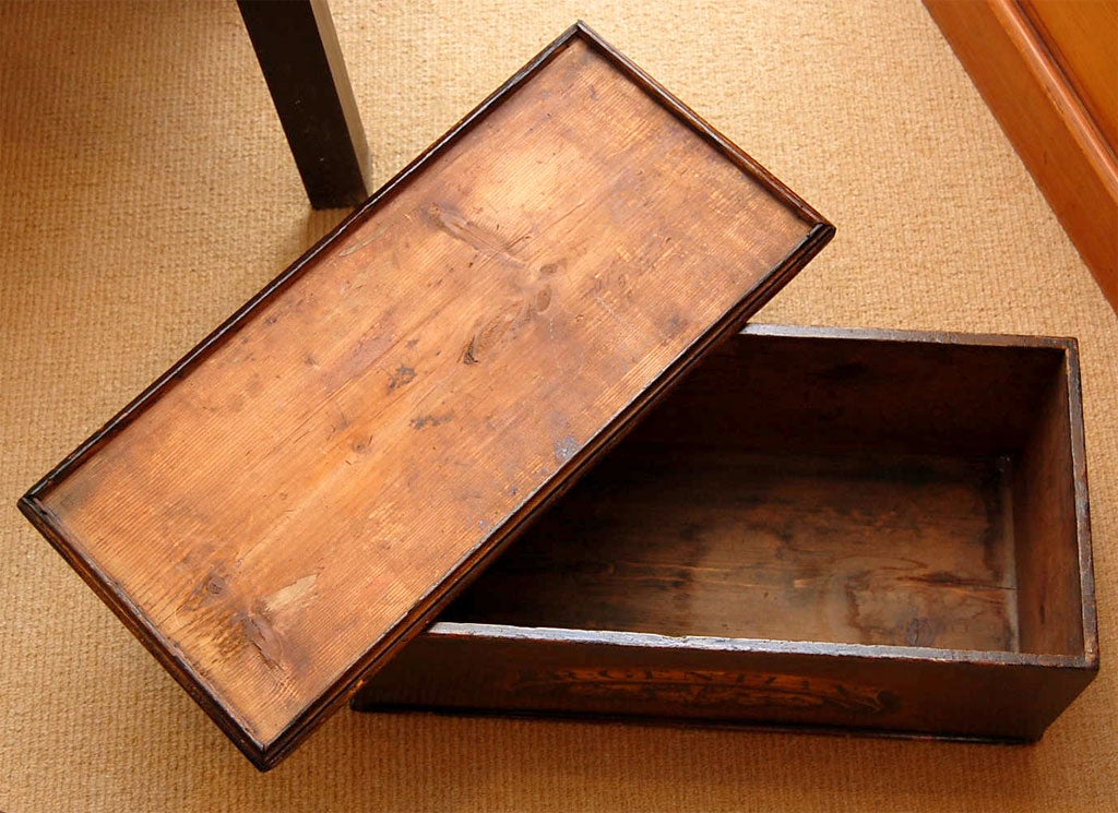 Wood Pair of 19th Century English Chemist Boxes