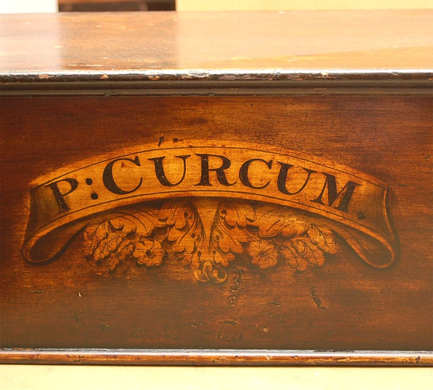 Pair of 19th Century English Chemist Boxes 1