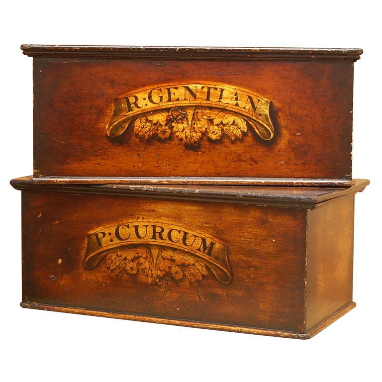 Pair of 19th Century English Chemist Boxes
