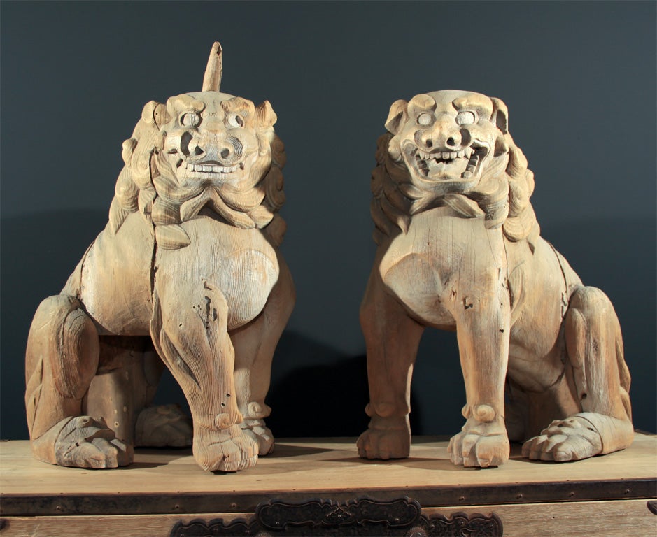 A pair of Japanese carved wood koma inu protective lion dogs, literally 