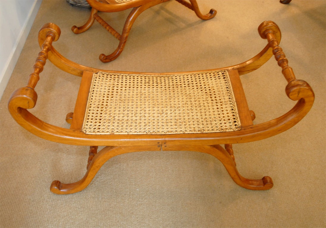 Pair of 19th Cent. Regency-Style British Colonial Window Benches