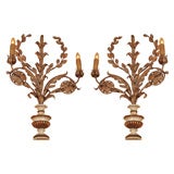Antique Pair of Turn of the Century Italian Wall Appliques