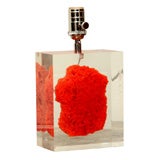 A Rectangular Coral in Resin Table Lamp.