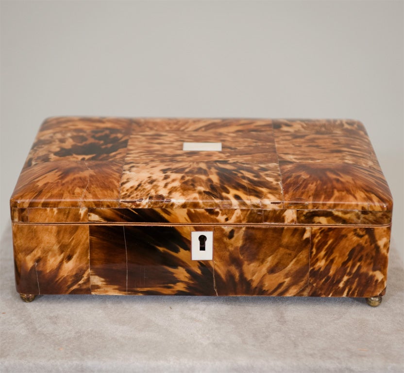 Tortoiseshell and Ivory Inlaid Box