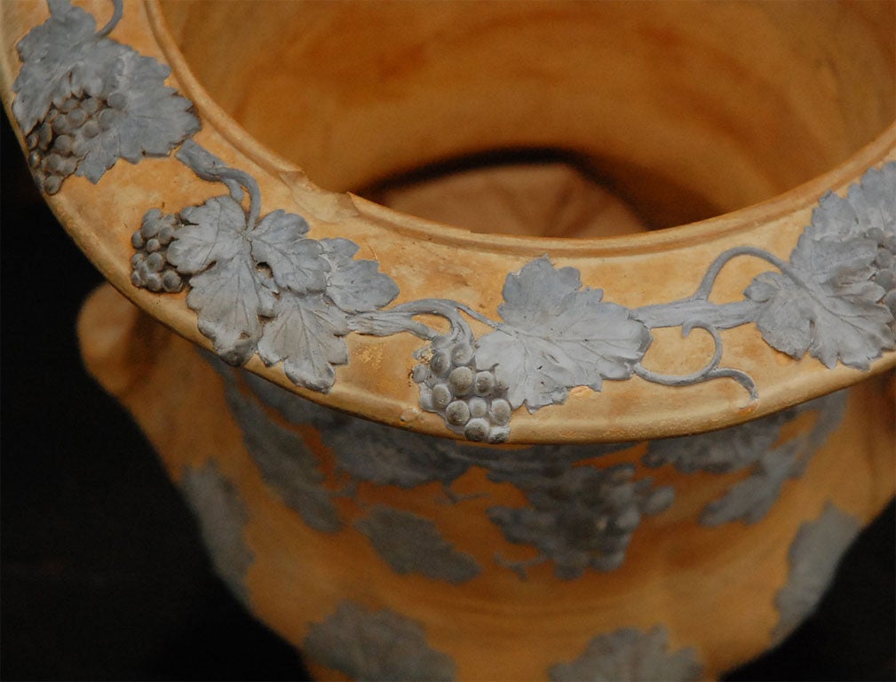 Wedgwood 