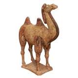 An Ancient Tang Dynasty Terracotta Polychrome Camel
