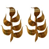 Pair of brass leafy vine sconces