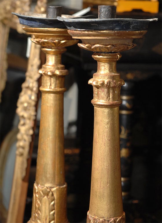 19th Century Pair of Large Gilt Wood Candlesticks