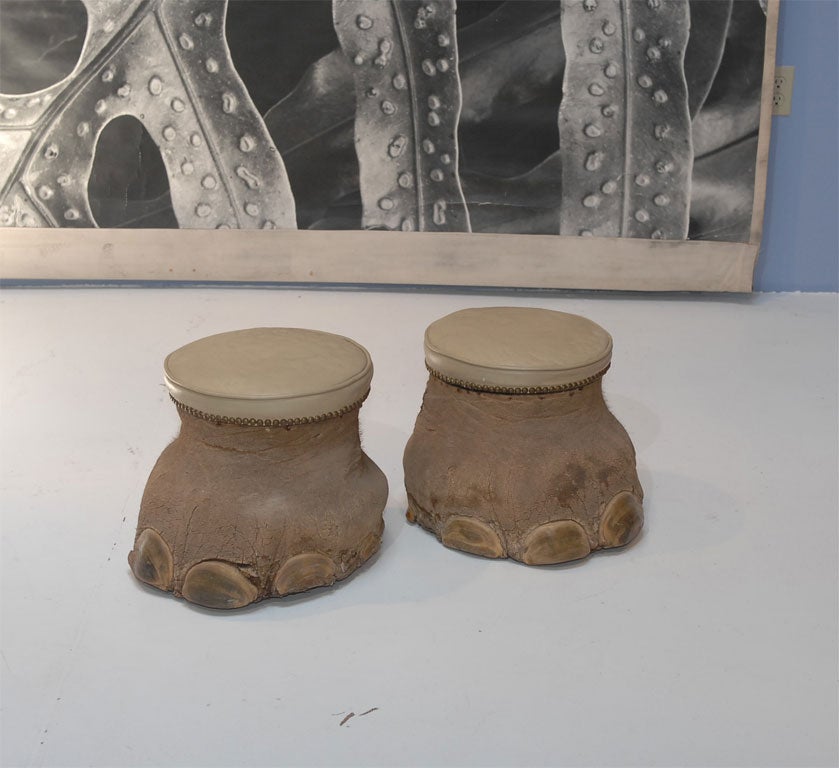 Pair of vintage taxidermy elephant feet made into upholstered stools/waste bins. We do not endorse the killing of any animals for sport but what was done is done. Net $2400.00 previously $3800.00