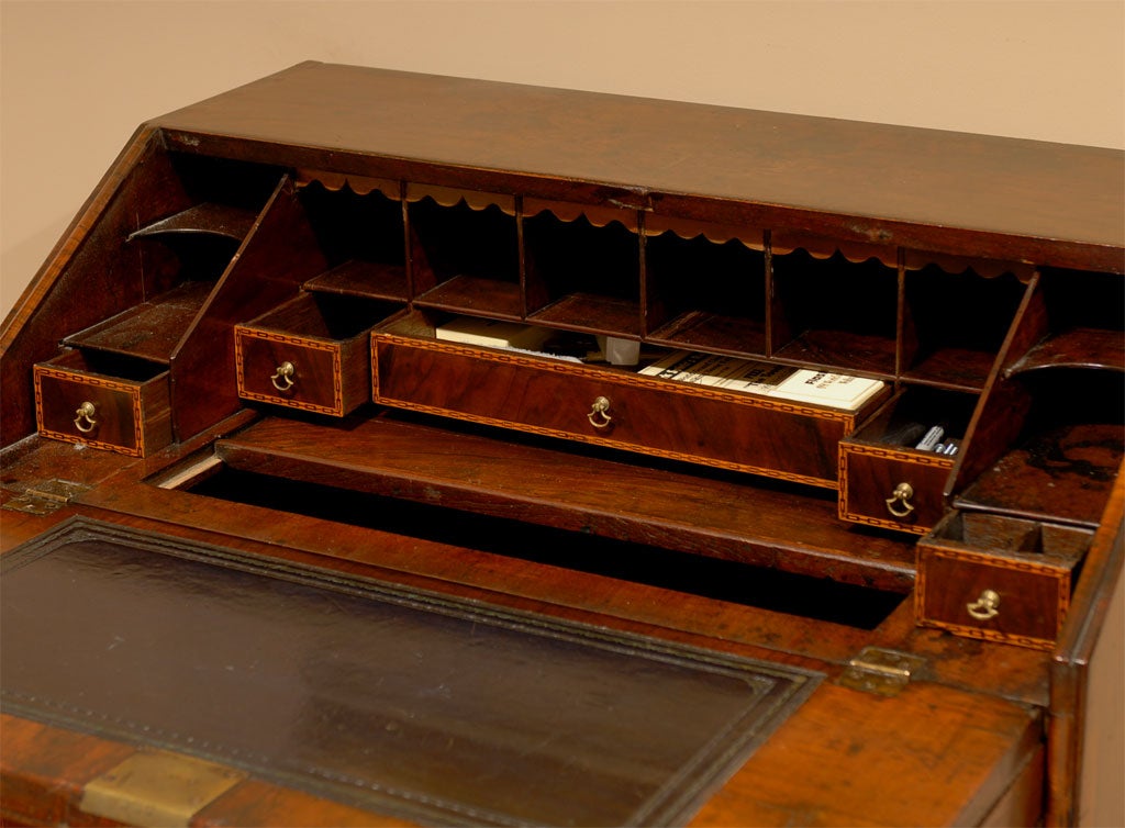 17th Century Inlaid Bureau Desk of Burled Walnut on Bun Feet 1