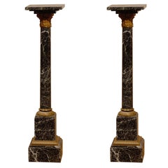 Vintage Pair of 19th Century Marble Pedestals with Bronze Mounts