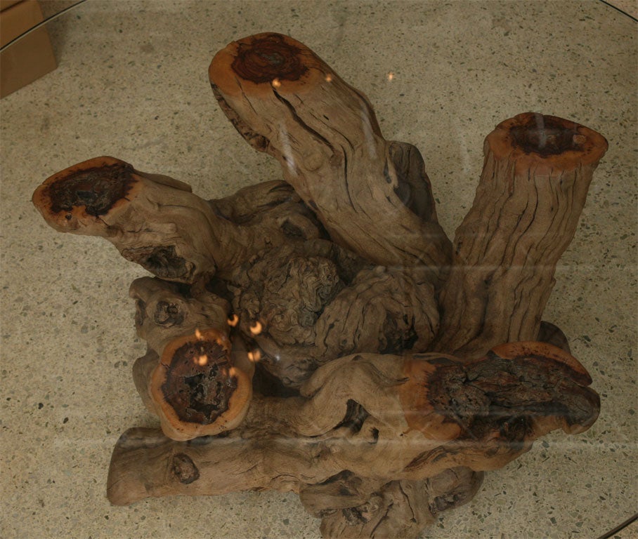 Glass Vintage Driftwood Coffee Table