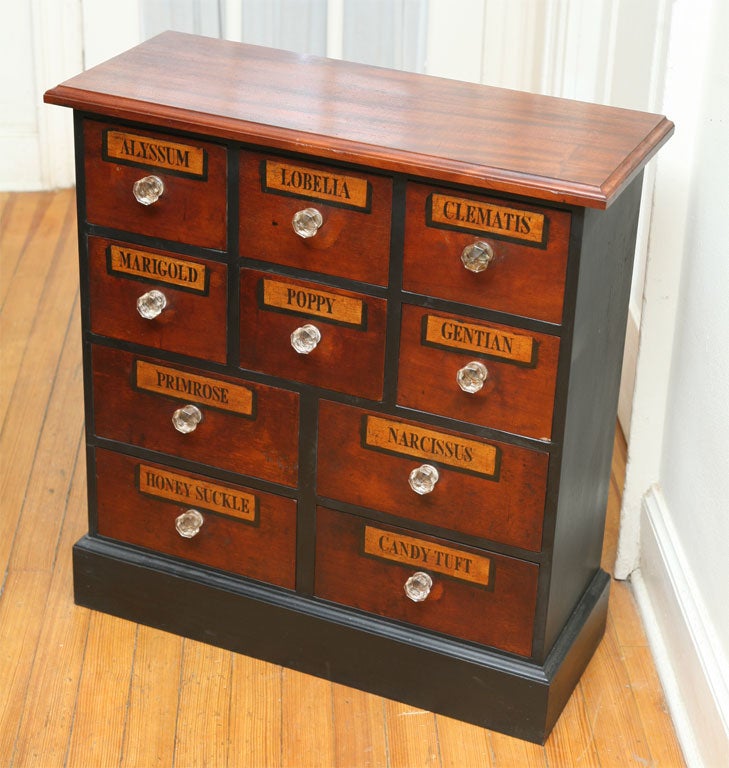 So sweet and petite, this ten drawer English flower seed apothecary still has its original labels and glass pull knobs. The drawers are stained and the frame is painted which accents the wood and labels. It is perfect for a small spot or how about