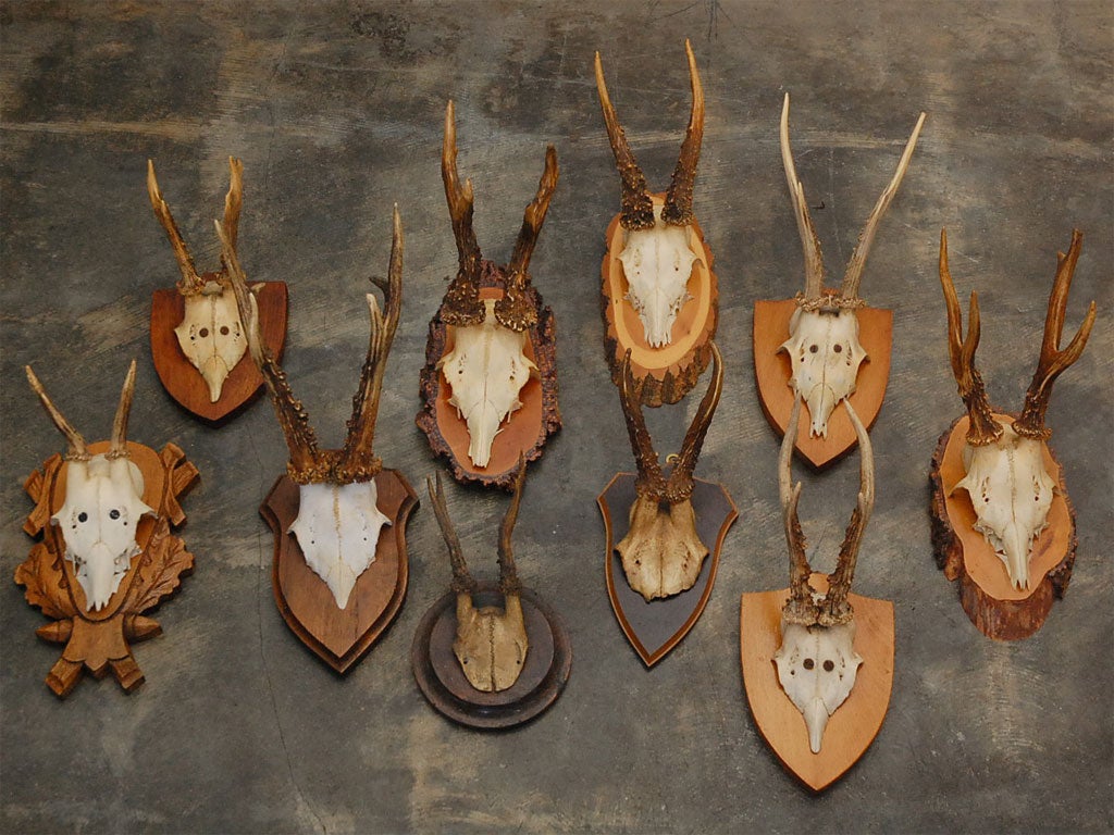 We have a selection of these wall plaques. Ideal for that cabin or sportsman theme. Horns are around 7