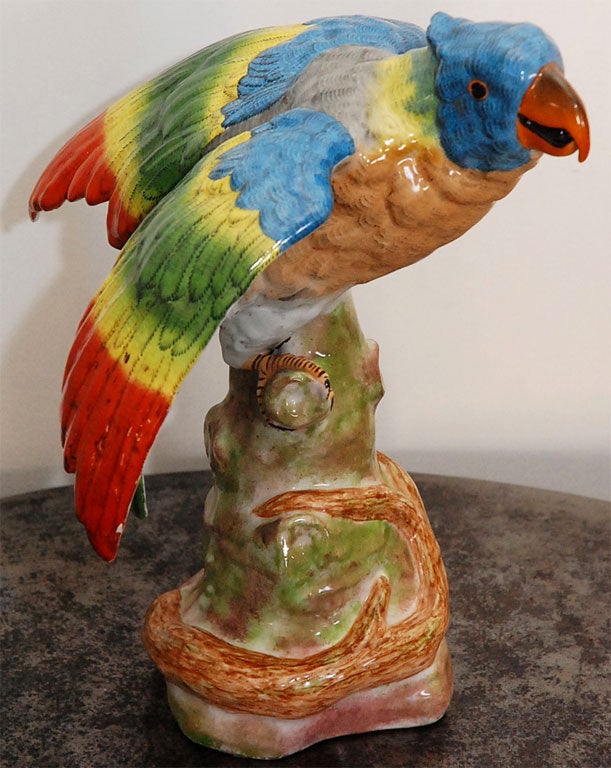 This is one of the famous blue headed parrots that we all love and want to own, until they start their squawking and then we have second thoughts. Purchased in France and thought to be from the late 19th early 20th century, this handsome guy/gal