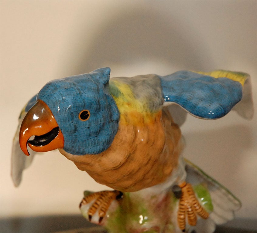 French Brightly Colored Parrot Figure For Sale