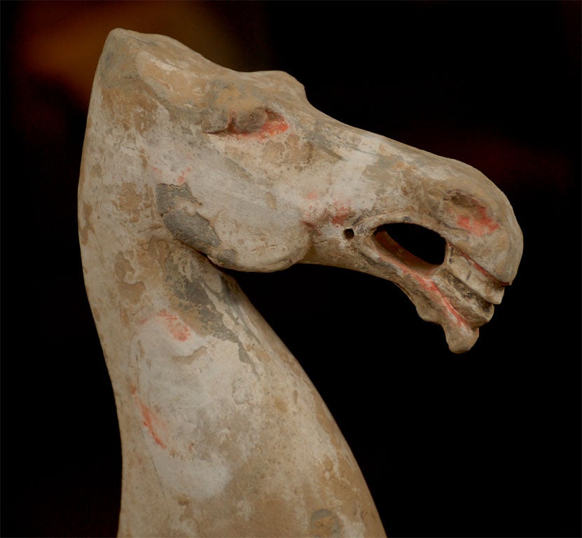 Chinese Han Horse from the Han Dynasty in Eastern China For Sale