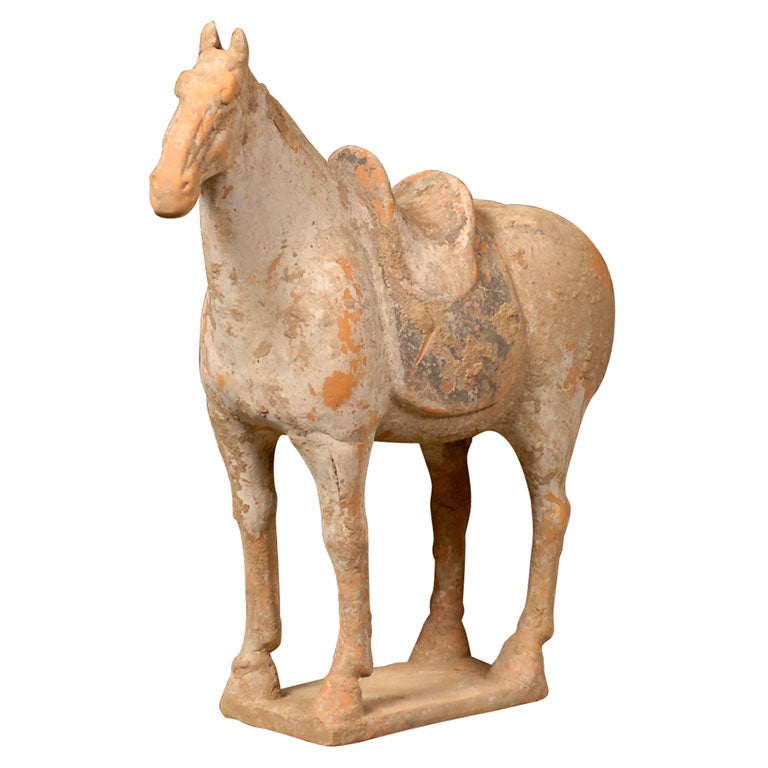 Chinese Tang Horse on stand from Western China For Sale