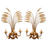 Pair of Winter Wheat Wall Sconces