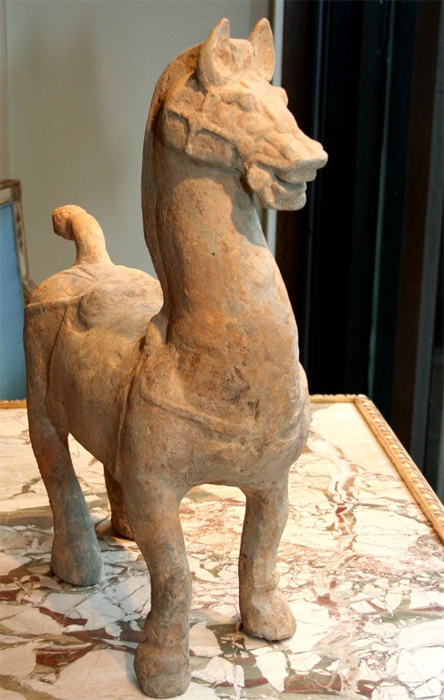 A Han Dynasty Terra Cotta Figure of a Prancing Horse