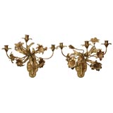 French Gilt Bronze Floral Branched Sconces