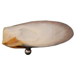 BEAUTIFUL MOTHER OF PEARL SHELL/DISH ON STERLING BASE
