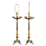 19th Century Pair of Gilt Bronze Candleabra Lamps