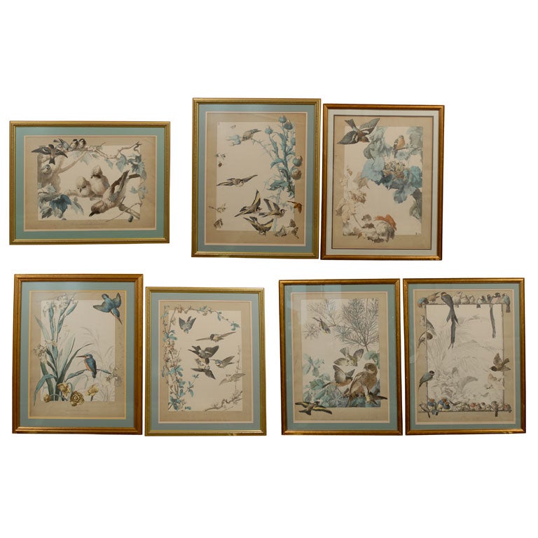 SET OF 7 HAND COLORED BIRD ENGRAVINGS