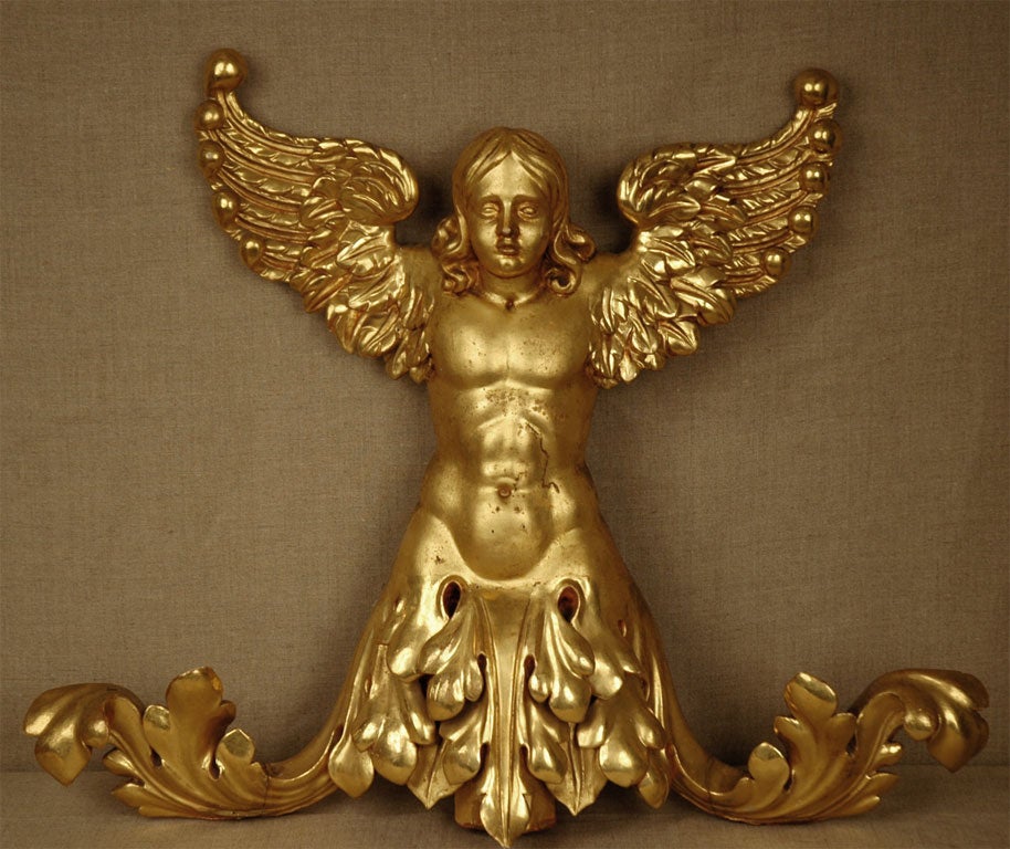 Beautifully hand carved, gessoed and 22-karat gold gilded, wood angel with flowing hair, extended wings and scrolling, acanthus leaf drapery.