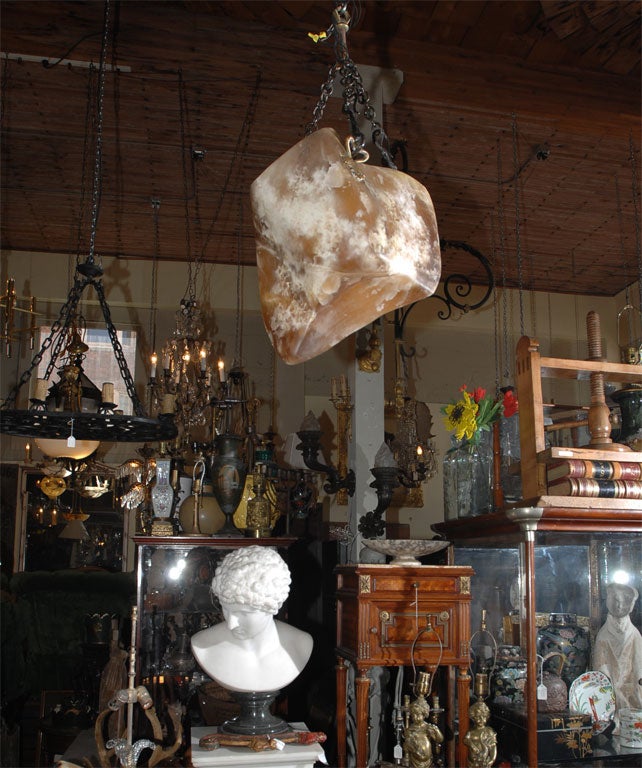 Organic Form Alabaster Light Fixture
