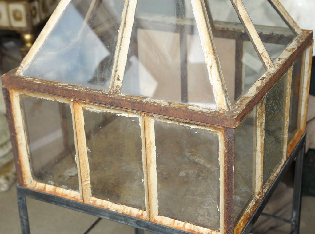French Antique Cloche in Iron and Glass (minature green house)