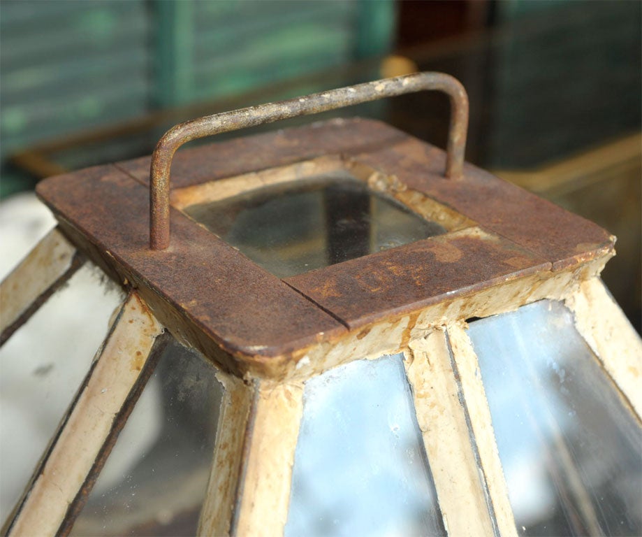 19th Century Antique Cloche in Iron and Glass (minature green house)