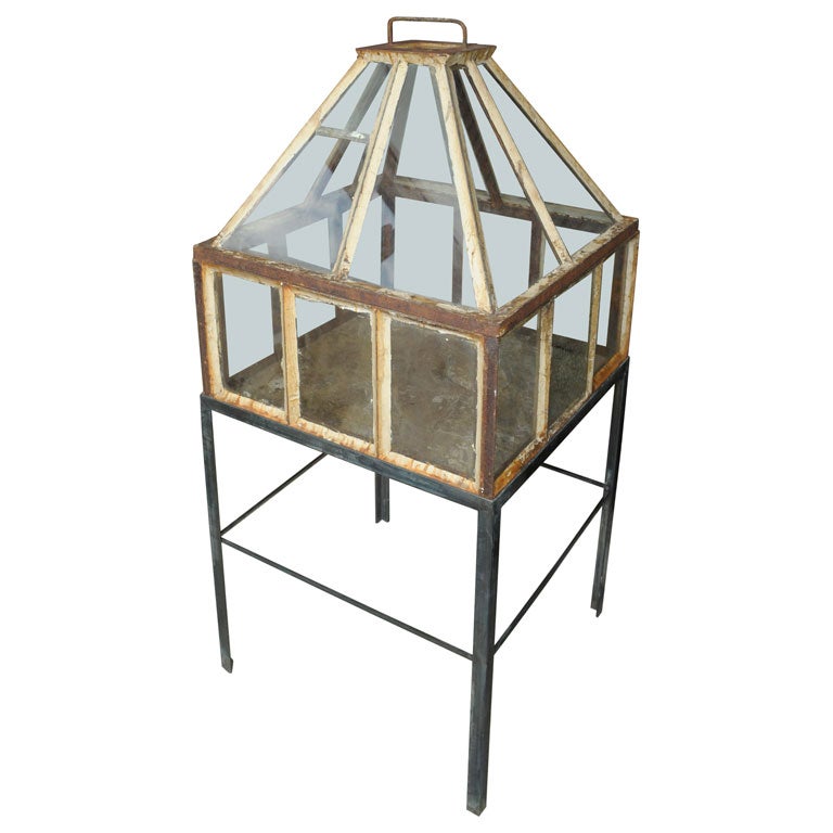 Antique Cloche in Iron and Glass (minature green house)