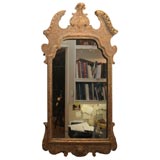 Carved Gesso giltwood mirror