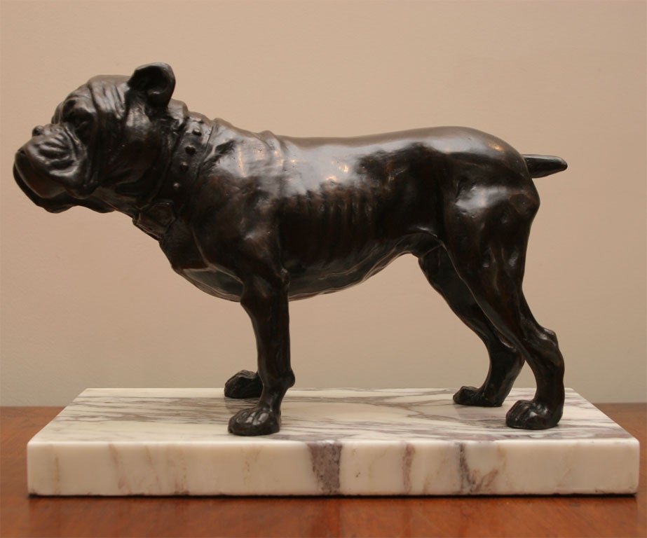 A bronze bulldog with very good patinated color on a marble platform.