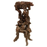 Nature Root Sculpture