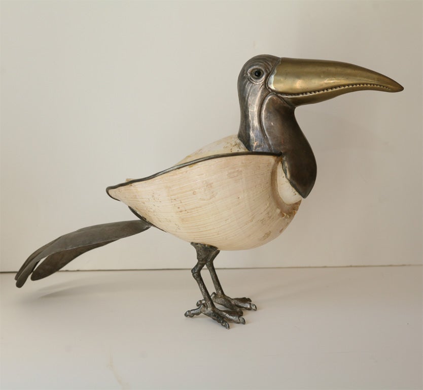 Shell Bird