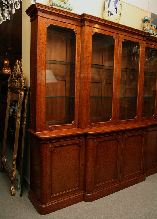 English Burlwood bookcase