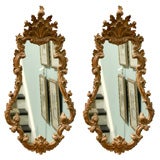 Pair of Continental Giltwood Opposing Mirrors