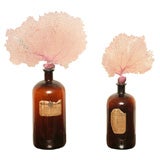 Antique Glass Bottles with real coral tops