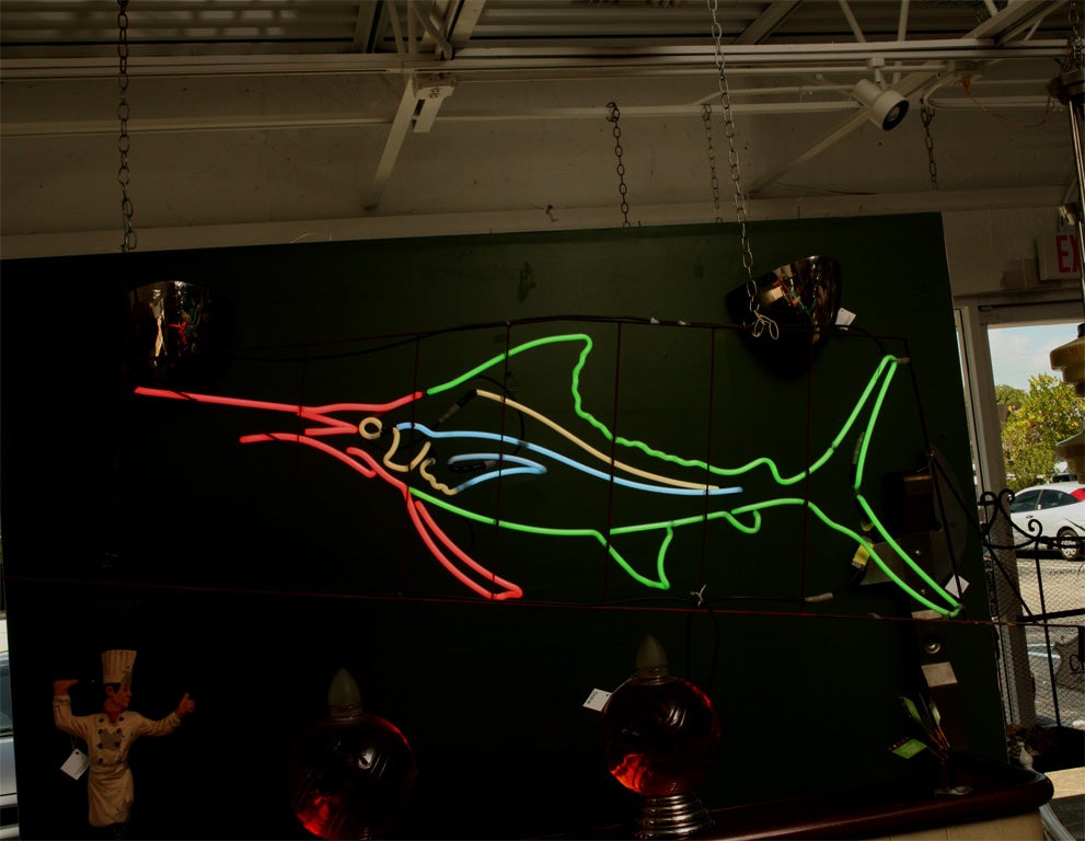 American 1950's Neon Sailfish